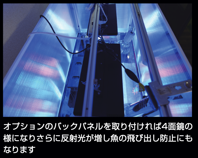 iSHADE Ref ｜サンゴ通販なら大阪の専門店 Coralmonster