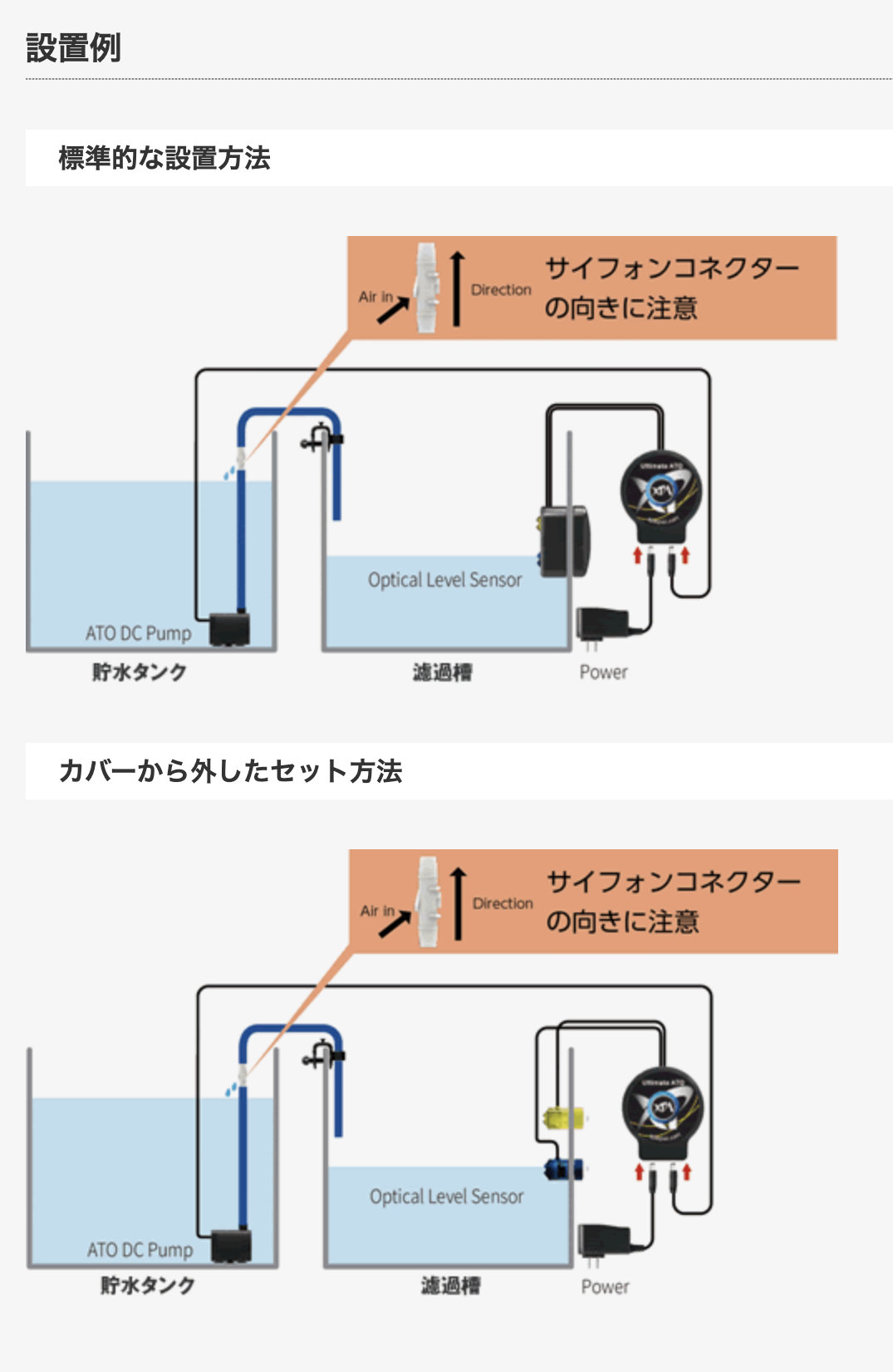 超特価】ミクロソリウムトライデント 200葉以上 ブセsp（おまけ