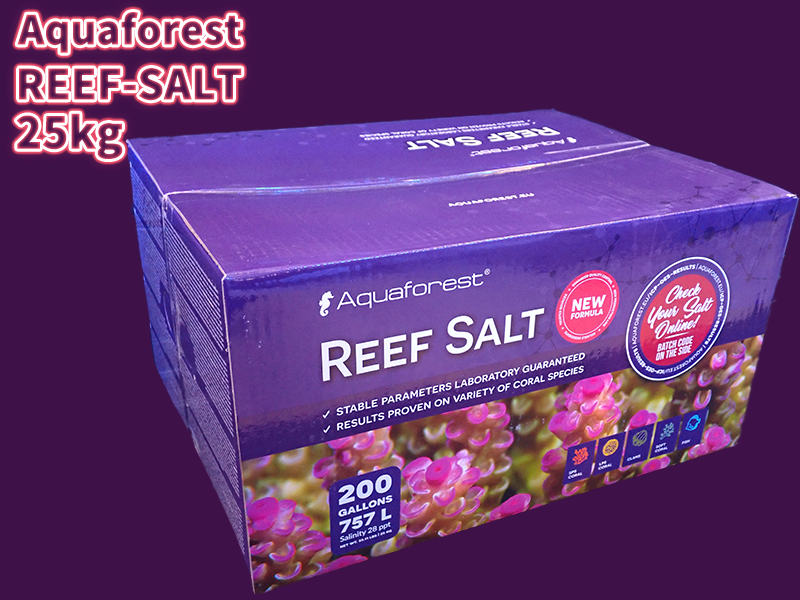 Aquaforest アクアフォレスト｜サンゴ通販なら大阪の専門店