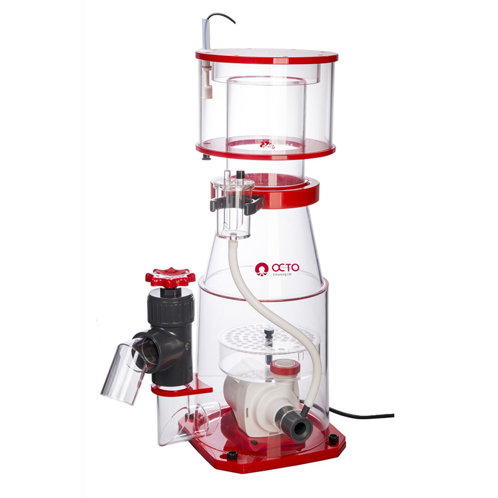 OCTO Regal 200-S｜サンゴ通販なら大阪の専門店 Coralmonster-コーラル  